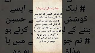 Hazrat Ali RS youtubeshorts hazratali hazratmuhammadsaw islamicstatus [upl. by Marelya]