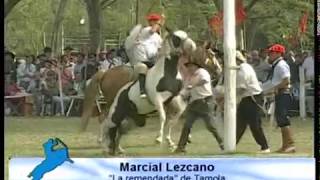 JINETEADAS GRUPA EN SAN MIGUEL DEL MONTE BUENOS AIRES 23 Y 24 DE MARZO DE 2013 [upl. by Anem18]