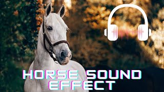 Horse sound effect  Horse neighing sounds Horse sounds  What sounds does a horse make [upl. by Auvil682]