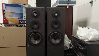 Sony SSMF315 Tower Speaker System 8 Ohms 140W [upl. by Lertsek51]