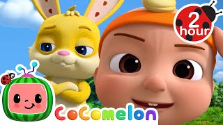 Chase Chase Chase 🏃🏻‍♂️  Cocomelon  Nursery Rhymes  Fun Cartoons For Kids [upl. by Farro554]