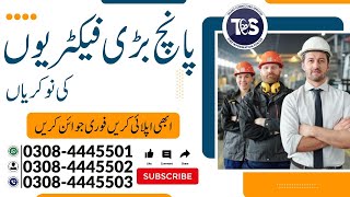 Top 5 Jobs In Lahore  𝐀𝐩𝐩𝐥𝐲 𝐎𝐧 ‪talentconnectingservices ‬ [upl. by Thetos454]