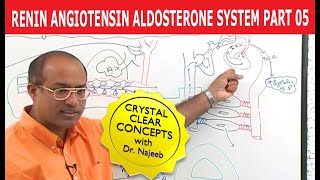 Renin Angiotensin Aldosterone System  RAAS Part 5👨‍⚕️ [upl. by Inal]