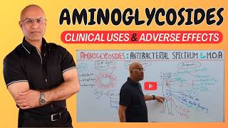 Aminoglycosides  Clinical Uses and Adverse effects 💊 [upl. by Anidan]