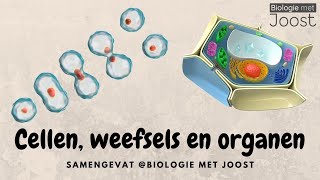 Cellen weefsels en organen  Samenvatting [upl. by Tanah]