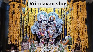 Vrindavan vlog 😍 bht time ke baad 😘 [upl. by Efal]