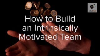 How to Build an Intrinsically Motivated Team [upl. by Emalee343]