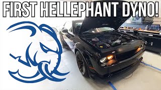 The FIRST REAL 426 Hellephant Engine DYNO  Demonology [upl. by Eitak]