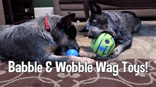 Cattle Dogs Try Wobble Wag amp Babble Ball Toys [upl. by Okoyik]