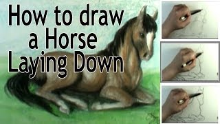 How to draw a horse laying down [upl. by Devonna]