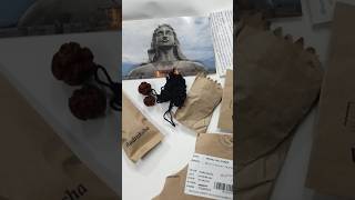 Unpacking of Rudraksha Dikshablessed shiv harharmahadev om namaha shivayya [upl. by Allemrac269]