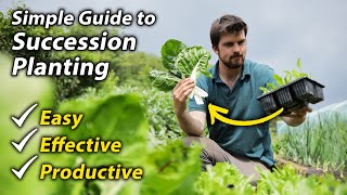 Succession Planting  Amazing Way to Extend Your Cropping and Increases Your Gardens Productivity [upl. by Novel]