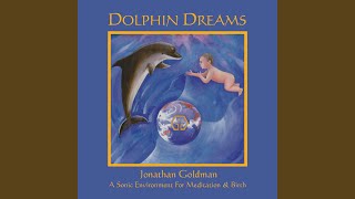 Dolphin Dreams [upl. by Eecram]