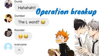 Operation breakup pt 1  ft Osasuna and Oihina  Haikyuu prank skit [upl. by Gabie]