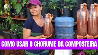 Como usar o Chorume da Composteira Primeira Retirada Abubo Orgânico Biofertilizante [upl. by Gerard]