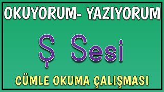 Ş Sesi Cümle Okuma Çalışması  1 Sınıf Okuma Yazma Ş Harfini Öğreniyorum [upl. by Elyrehc]