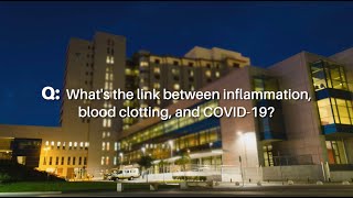 The Link Between COVID19 Inflammation and Blood Clots [upl. by Kalin380]