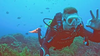 Rottnest Island Dive 2  Exploring site Sombero diving between valleys and safety stop [upl. by Ardnikal88]