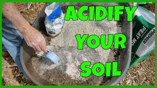 How to Make Blueberry Soil [upl. by Nymzaj]