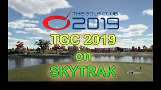 The Golf Club TGC 2019 SKYTRAK Golf Simulator Review [upl. by Lauzon208]