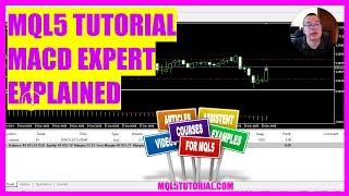 MQL5 TUTORIAL  MACD EA EXPLAINED in 5 minutes [upl. by Enirehtacyram]