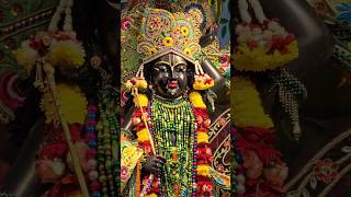 श्री कृष्ण गोविंद हरे मुरारी ।। krishna bhajan ytshortsindia shorts [upl. by Rodoeht844]