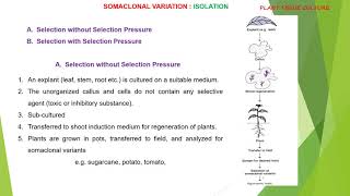 Somaclonal Variation Part 2 Isolation and Applications [upl. by Ziza320]