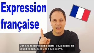 Lexpression quotDune pierre deux coupsquot en Français [upl. by Bank]