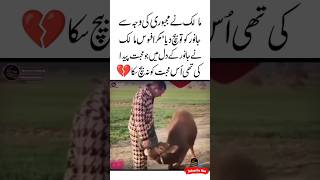 Mohabbat Na Bech Saka 🥺💔Animal Love Quotes  Aqwal e zareen  Heart touching  Judai status shorts [upl. by Anthony]