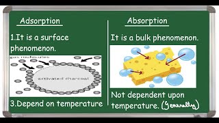 Adsorption Vs Absorption Differences [upl. by Nattie]