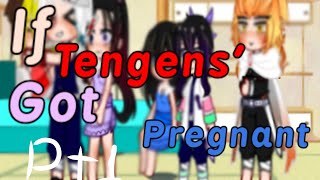 If Tengens Wives got pregnantPart 1FtAoiRengokuNezukoampShinobuDemon slayeroriginal [upl. by Peder895]