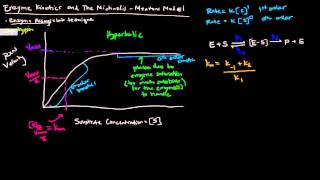 Enzymes Part 2 of 5  Enzyme Kinetics and The Michaelis Menten Model [upl. by Asselem]