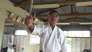 The weapon skills of Okinawa Isshinryu Karate is amazing 【Tsuyoshi Uechi sensei】 [upl. by Madora]