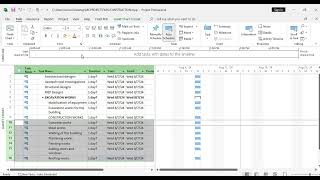 WORK BREAKDOWN STRUCTURE IN MS PROJECT [upl. by Kimber]