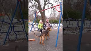 Tense playground situation results in wonderful rescue shorts [upl. by Eddie]