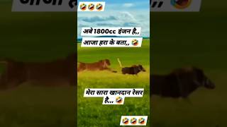 😂🤣shortvideo 😱surajkingprajapati7465 funny😂😁 love [upl. by Cos]