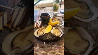 Fresh Oysters At Saltz Restaurant Dolder Grand Hotel Zurich shortvideo travel swisslifestyle [upl. by Noied193]