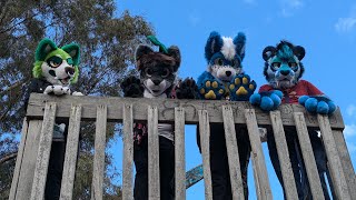 North Alphington Fur Meet  Furry Meet Vlog [upl. by Ydnew]