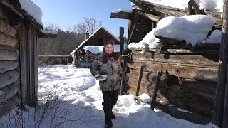 Woman lives alone in Taiga forest in abandoned village Far from civilization Life in Russia [upl. by Liauqram]