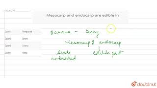 Mesocarp and endocarp are edible in [upl. by Annoid]