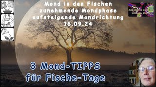 3 MondTIPPs für Fische Tage [upl. by Terris]