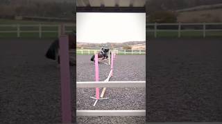 CLIP CLOP 🐎😻 canter equestrian horse jumping [upl. by Gratiana]