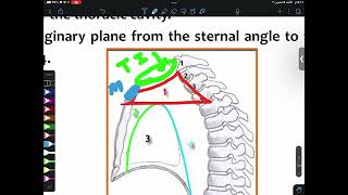 ANATOMY L1 Mediastinum amp Pericardium Part1  CVS [upl. by Evilc]