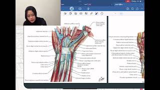 Anatomi Regio Antebrachii dan Regio Manus  Anatomi Blok 12 [upl. by Enalda]