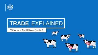 What is a Tariff Rate Quota [upl. by Otila778]