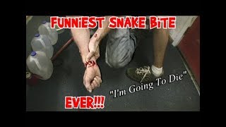 FUNNY SNAKE BITE MUST WATCH REACTION [upl. by Sergei]