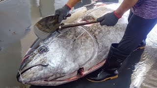 Luxurious sashimi Giant bluefin tuna cutting show  巨大黑鮪魚切割秀鮪魚金三角  Taiwanese Food [upl. by Ignace]