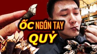 Ăn ốc NGÓN TAY QUỶ ở Madrid Du Lịch Tây Ban Nha Châu Âu [upl. by Ammon761]