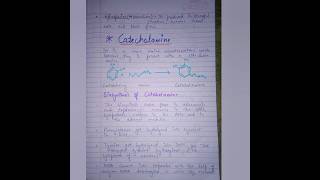 CatecholamineBiosynthesis and catabolism notespharmacy medicinalchemistrybpharm4thsem bpharma [upl. by Puiia]