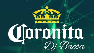 Lépegetős Coronita Mix 2024 Április  Dj Bacsa [upl. by Jackie750]